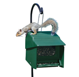 Feeders - Squirrel-Resistant