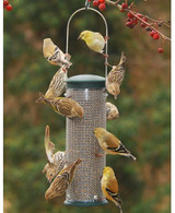 Feeders - All Bird Feeders