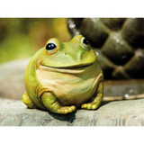 Frog & Turtle Products and Themed Gifts