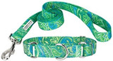 Dog Collars, Harnesses & Leashes