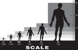 MODELING IN SCALE - Conversion Charts, Sizes, FAQs