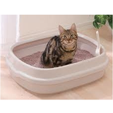 Cat Litter Boxes & Accessories
