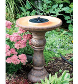 Bird Baths, Waterers & Accessories