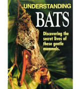 Everything Bats Products
