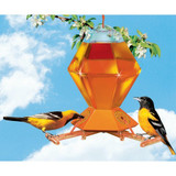 Feeders - Oriole