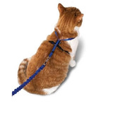 Cat Collars, Leashes, Harnesses