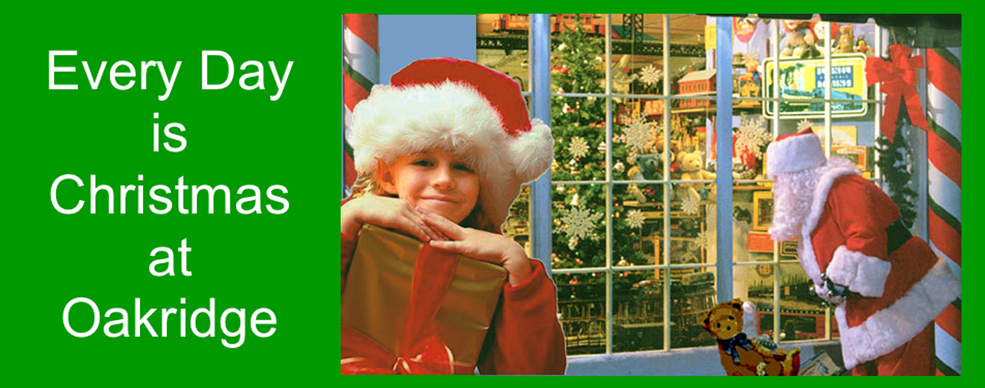 Every Day is Christmas at Oakridge Toys, Hobbies & Gifts