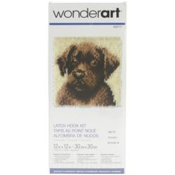 CARON - Wonderart Latch Hook Kit 12"X12" (426173C) 057355369900