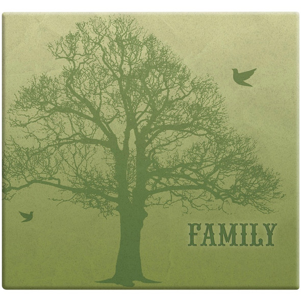 MBI - Family Tree Post Bound Album With Name Window 12"X12"-Family Tree (860094) 046909600941