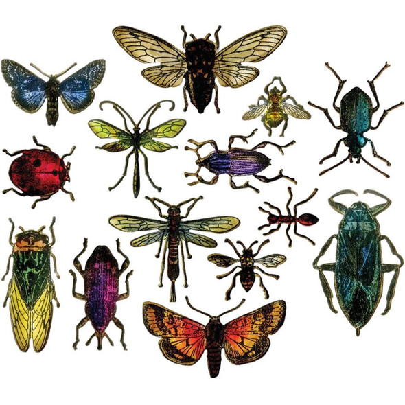 SIZZIX - Framelits Dies By Tim Holtz 14/Pkg Entomology (663068) 630454254614