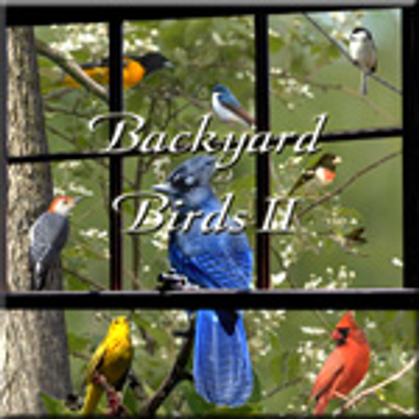 NATURESCAPES MUSIC - Backyard Birds II Audio CD (NS053) 600638005325