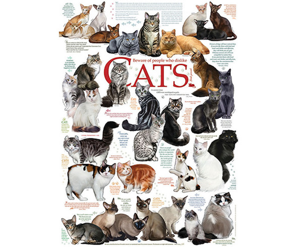 OUTSET MEDIA GAMES - Cat Quotes - 1000 Piece Jigsaw Puzzle (OM80095) 625012800952