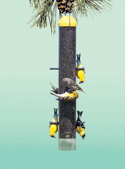 PERKY PET - Upside Down Perch Finch Bird Feeder - Yellow (PP399) 078978399006