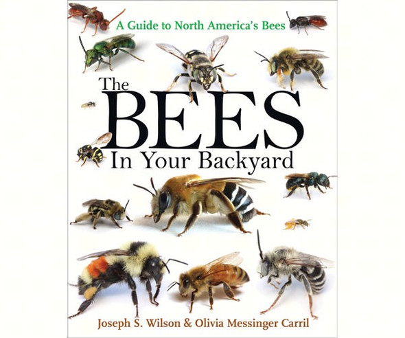 PRINCETON PRESS - The Bees in Your Backyard - Book PR0691160771 9780691160771