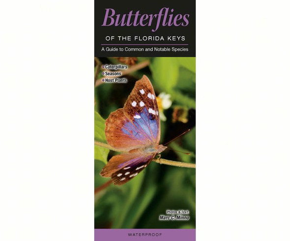 QUICK REFERENCE PUBLISHING - Butterflies of Florida Key Guide Book QRP113 9780982551608