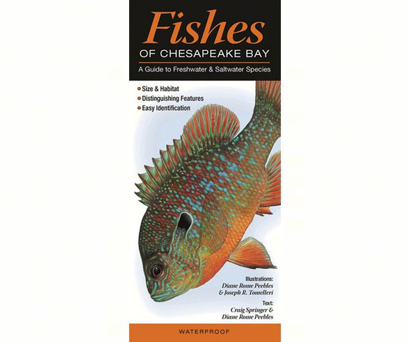 QUICK REFERENCE PUBLISHING - Fishes of the Chesapeake Bay Guide Book QRP149 9781936913947