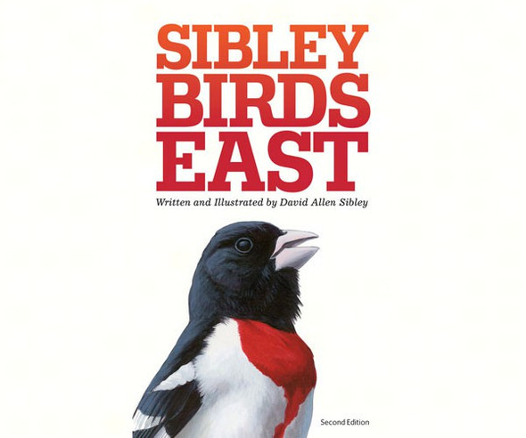 RANDOM HOUSE - Sibley Field Guide to Birds East 2nd Edition RH0307957917 9780307957917