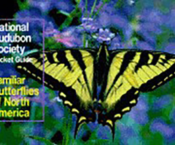 RANDOM HOUSE - Aud. Familiar Butterflies of North America Pocket Guide (RH067972981X) 9780679729815