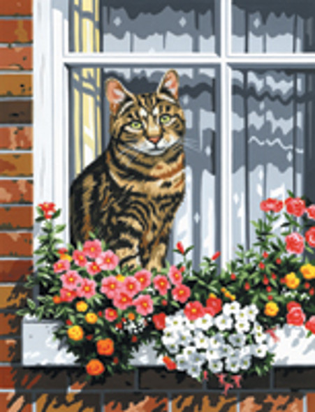 ROYAL BRUSH - Cat in the Window - Paint By Number Craft Set (PCS11) 090672125132