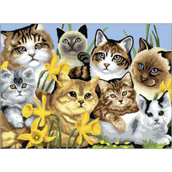 ROYAL BRUSH - CATS MONTAGE Paint By Number Kit (PJL6) 090672994059