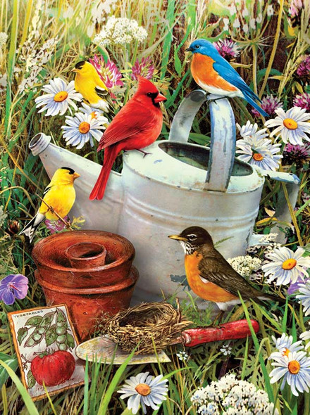 ROYAL BRUSH - "Garden Birds" Painting by Numbers Kit (PJS71) 090672077189