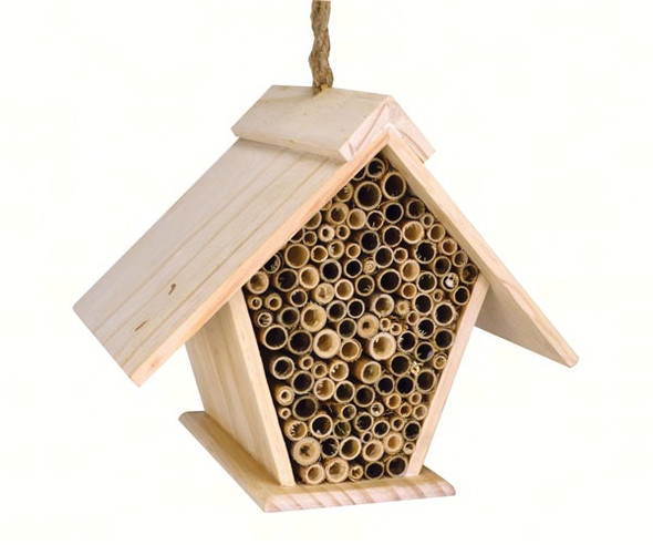 SONGBIRD ESSENTIALS - Bee A - Frame - Bug House SE1004 645194778290