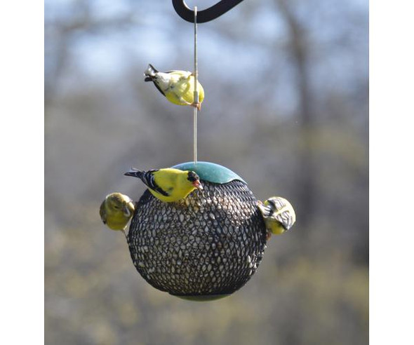 SONGBIRD ESSENTIALS - Green Seed Sphere Bird Feeder SE107 645194778443