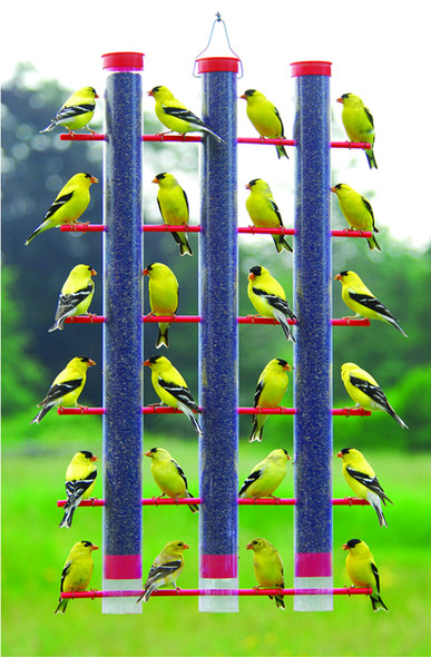 SONGBIRD ESSENTIALS - Finches Favorite 3 Tube Bird Feeder (SE324) 645194003248