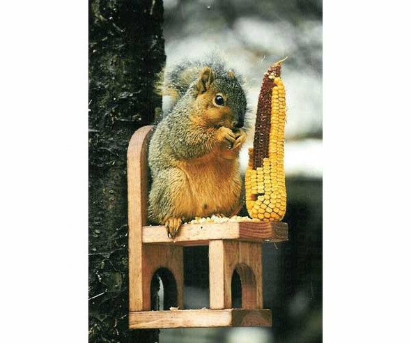 SONGBIRD ESSENTIALS - Squirrel Lovers Feeder Chair (SE547) 645194005471