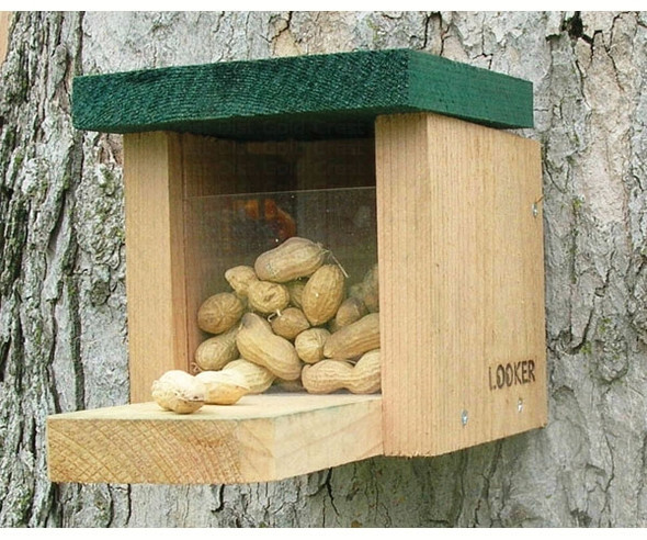 SONGBIRD ESSENTIALS - Squirrel Lovers Feeder Snack Box (SE549) 645194005495