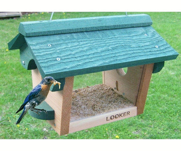 SONGBIRD ESSENTIALS - Bluebird Meal Worm Bird Feeder (SE557) 645194005570