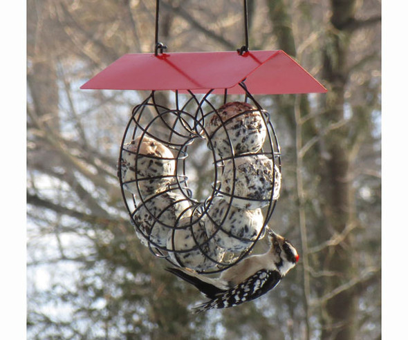 SONGBIRD ESSENTIALS - Suet Ball Red Roof Round Wire Circle Bird Feeder SE908 645194770331