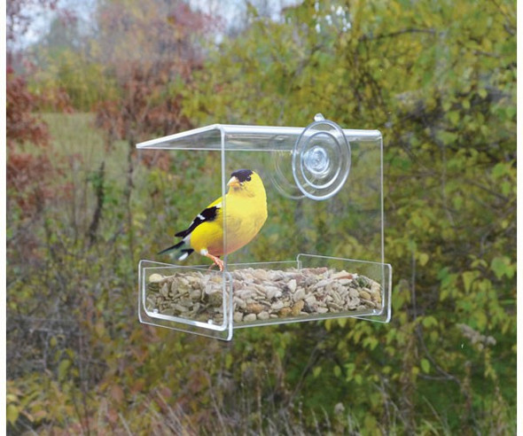 SONGBIRD ESSENTIALS - Clear View Mini Bird Feeder (SE970) 645194775435