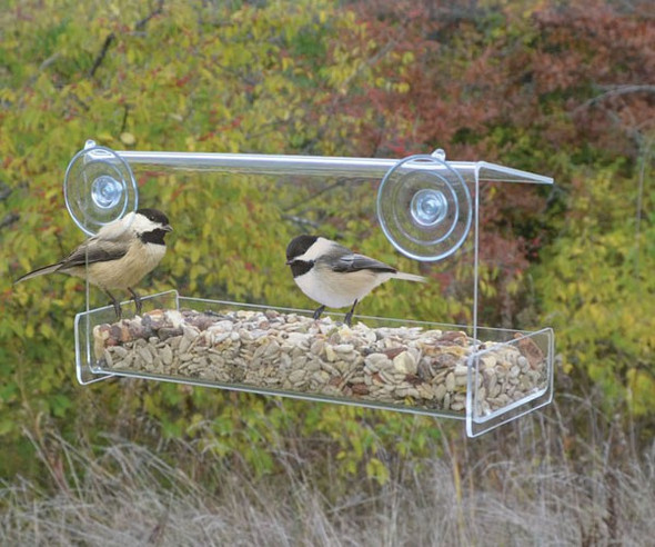 SONGBIRD ESSENTIALS - Clear View Open Diner Window Bird Feeder (SE971) 645194775442