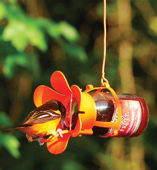 SONGBIRD ESSENTIALS - Jelly - Jam Bird Feeder (SEBCO212) 645194212121