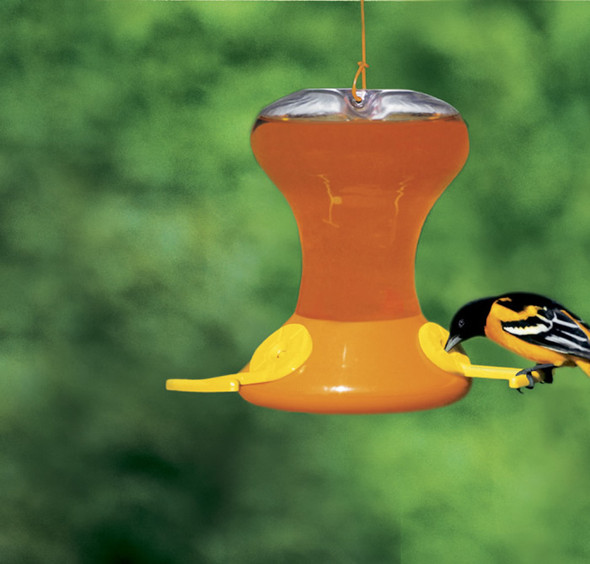 SONGBIRD ESSENTIALS - Fliteline Junior Oriole Bird Feeder - 30 oz. (SEBCO230) 645194002302