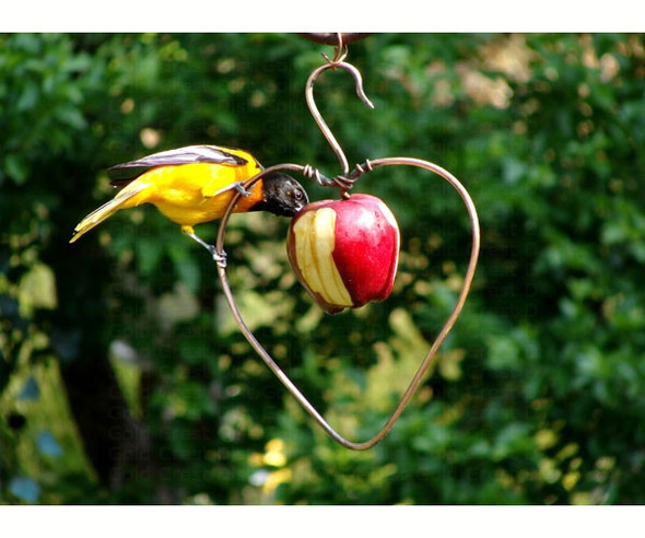 SONGBIRD ESSENTIALS - Heart Oriole Fruit and Jelly Bird Feeder (SEHHHAPL) 645194001138