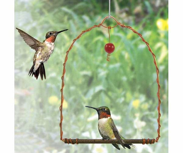 SONGBIRD ESSENTIALS - Copper Hummingbird Swing (SEHHHUMS) 645194001428