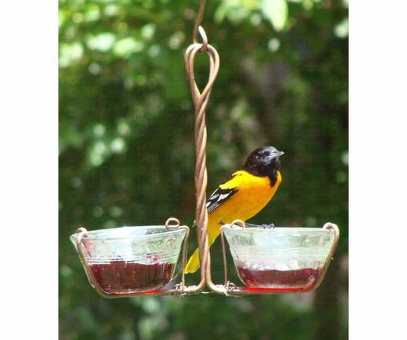 SONGBIRD ESSENTIALS - Two Cup Orioles Fruit and Jelly Bird Feeder (SEHHJELY) 645194001169