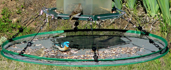 SONGBIRD ESSENTIALS - Seed Hoop - Hanging Under-Feeder Seed Catch Tray - 30 in (SEIA13921) 645194139213