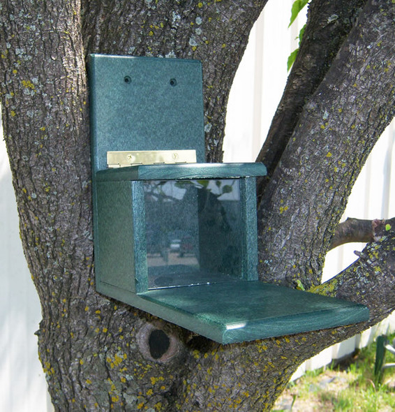 SONGBIRD ESSENTIALS - Squirrels-Only Corn Cob Feeder - Recycled Plastic (SERUB1038) 645194010383