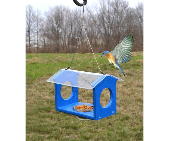 SONGBIRD ESSENTIALS - Bluebird Canteen Bird Feeder (SERUBBC) 645194778894