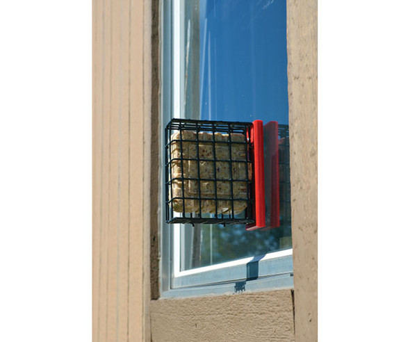 SONGBIRD ESSENTIALS - Red Suet Window Feeder (SERUBSWFR) 645194779174