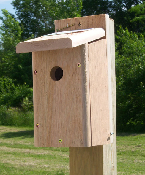 SONGBIRD ESSENTIALS - Chickadee Bird House (SESC1005C) 645194100503