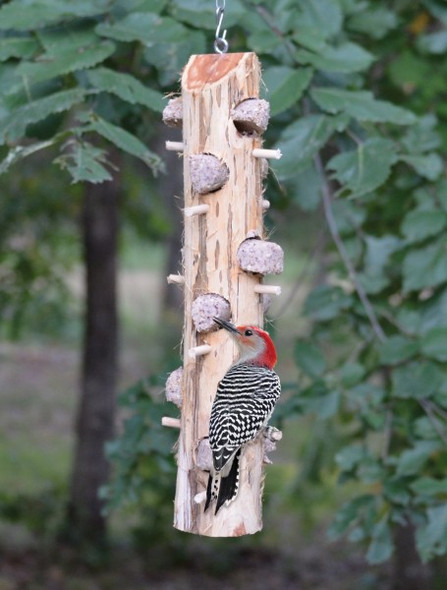 SONGBIRD ESSENTIALS - 6 Plug Suet Log With Perches SESCS413 645194777583