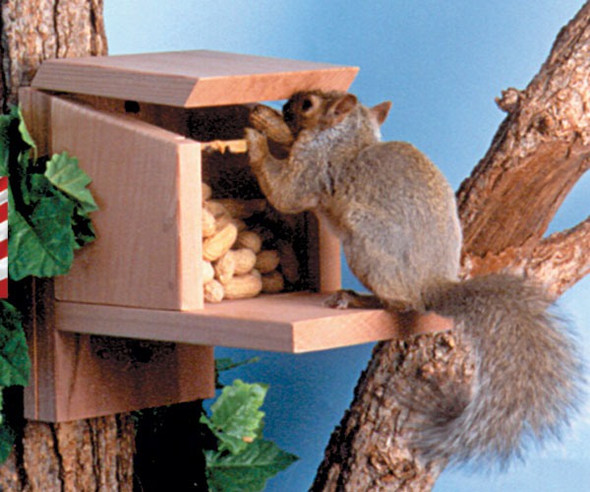 SONGBIRD ESSENTIALS - Squirrel Munch Feeder Box SEWF2081 645194020818
