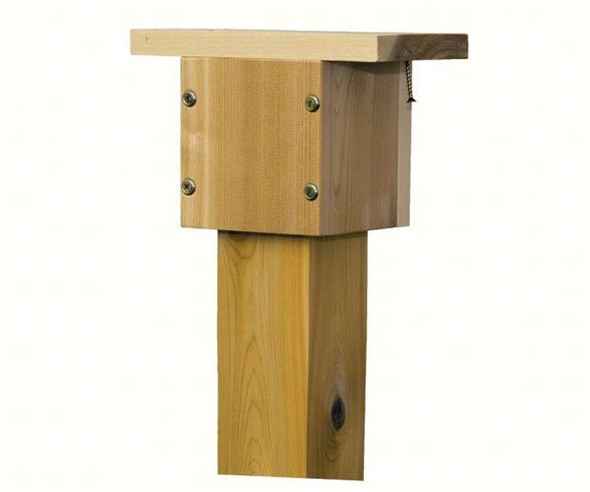 STOVALL - Bird House Feeder Mount 4x4 Cedar Cap SP4M 894259002683