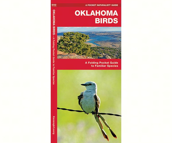 WATERFORD PRESS - Oklahoma Birds (Folding Pocket Guide) (WFP1583550083) 9781583550083