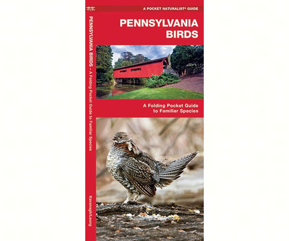 WATERFORD PRESS - Pennsylvania Birds (Folding Pocket Guide) (WFP1583550090) 9781583550090
