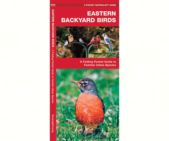 WATERFORD PRESS - Eastern Backyard Birds (Folding Pocket Guide) (WFP1583550748) 9781583550748